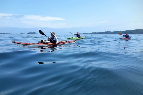 Portland, Maine: Casco Bay Full-Day Kayaking Tour