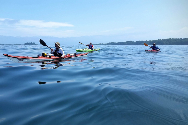 Portland, Maine: Casco Bay Full-Day Kayaking Tour Portland: Casco Bay Full-Day Kayaking Tour