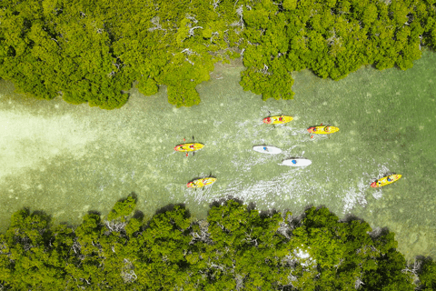 Key West: Utflykt till Sandbar och kajaktur med lunch och dryck