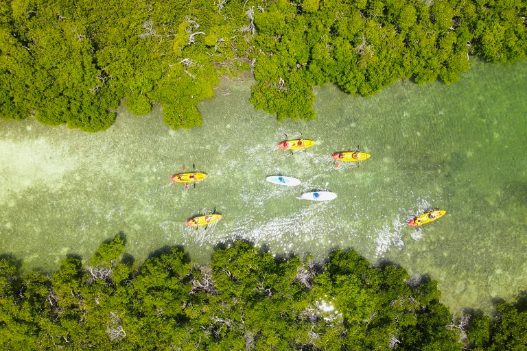 Key West: Sandbar Excursion & Kayak Tour met lunch en drankjes