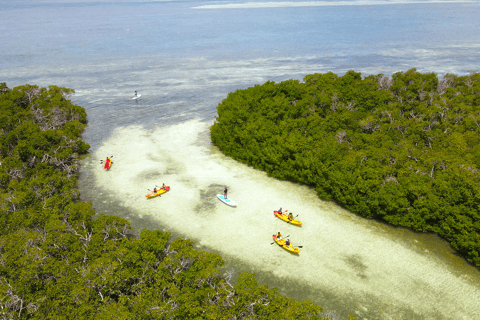 Key West : Excursion au banc de sable et excursion en kayak avec déjeuner et boissons