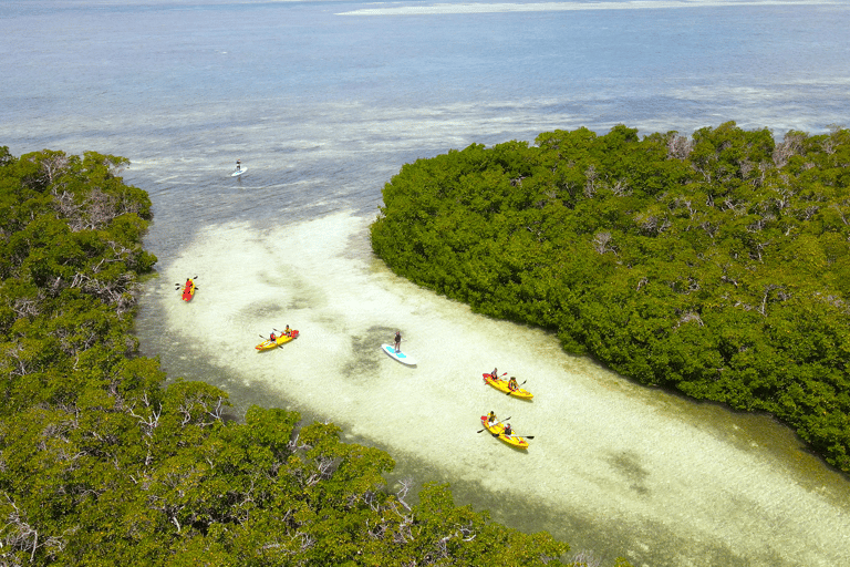 Key West: Sandbar Excursion & Kayak Tour met lunch en drankjes