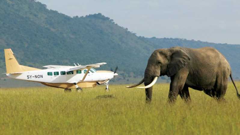 Nairobi: 3-Day Masai Mara Safari with Luxury Lodge & Flights