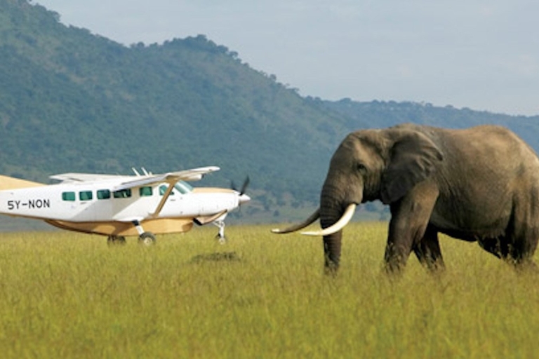 Safari en lodge de lujo Masai Mara de 3 días -Experimenta Mara en aviónSafari de lujo de 3 días a Maasai Mara - Vive Kenia en avión