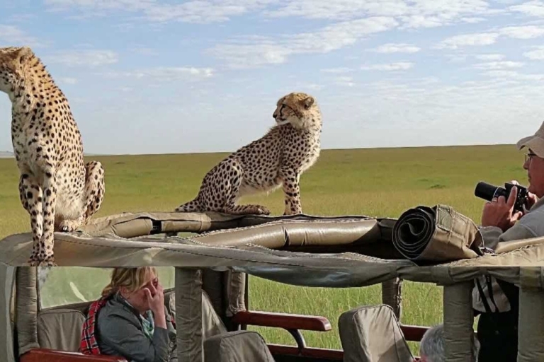 3-daagse Masai Mara Luxury Lodge Safari - Ervaar Mara per vliegtuig3-daagse Maasai Mara luxe safari - Ervaar Kenia per vliegtuig