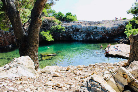 Dubrovnik: Tour en barco por la isla de Lokrum y la cueva de Betina