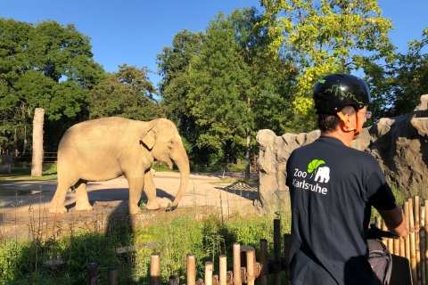 Karlsruhe: Excursión temprana en Segway por el Zoo, antes del horario de apertura