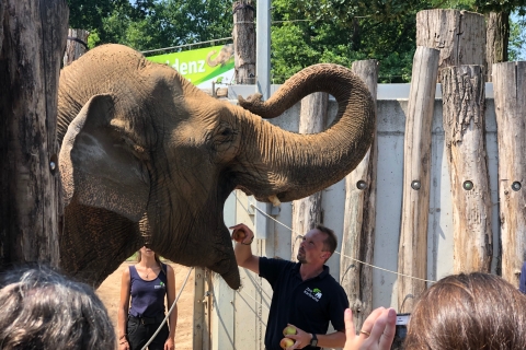 Karlsruhe: Excursión temprana en Segway por el Zoo, antes del horario de apertura