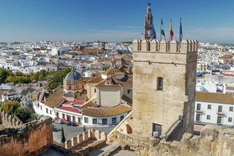 Private 5-hour Tour of Carmona and Seville from Seville
