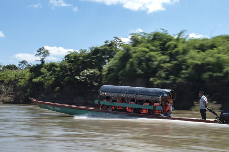 Från Palenque: Bonampak &amp; Yaxchilán