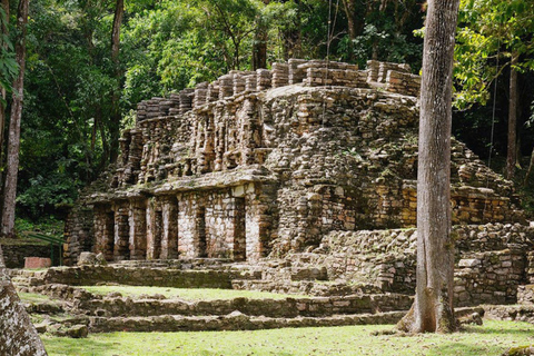 Från Palenque: Bonampak &amp; Yaxchilán