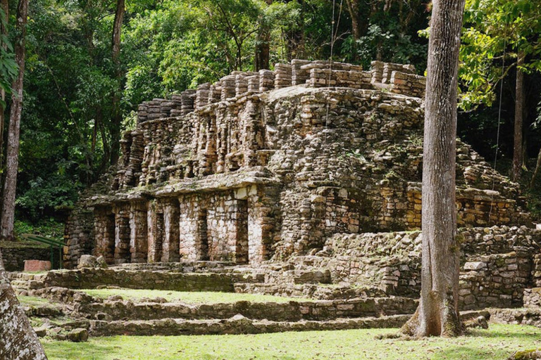 Från Palenque: Bonampak &amp; Yaxchilán