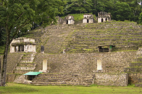 Från Palenque: Bonampak &amp; Yaxchilán