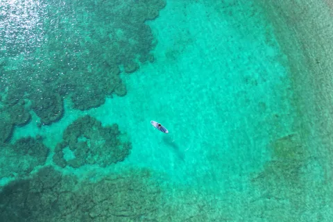 Muscat Daymaniat islands Tour