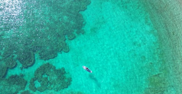 Daymaniyat Snorkeling: Turtles, Whale & Blacktip Sharks+GoPro
