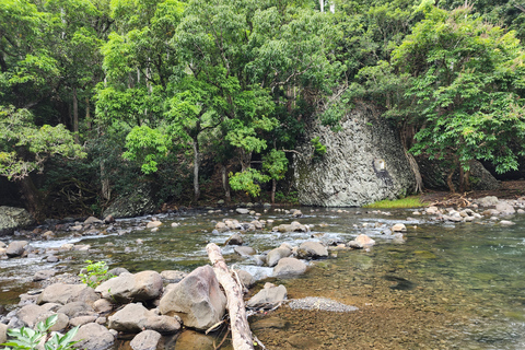 Flic en Flac: Prywatna wycieczka z przewodnikiem po Dolinie Czarnej RzekiPrywatna wycieczka z przewodnikiem po Black River Valley