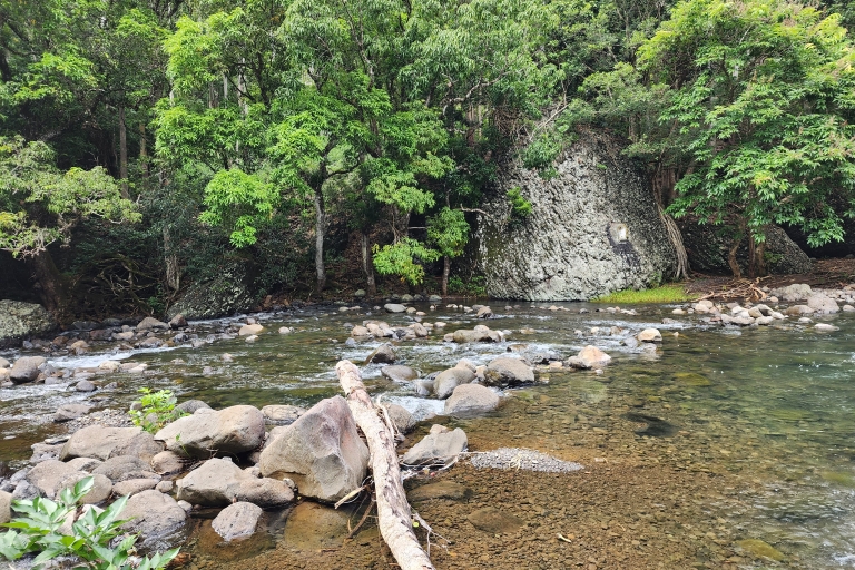 Flic en Flac: Excursión guiada privada por la naturaleza en el Valle del Río NegroExcursión guiada privada por la naturaleza en el Valle del Río Negro