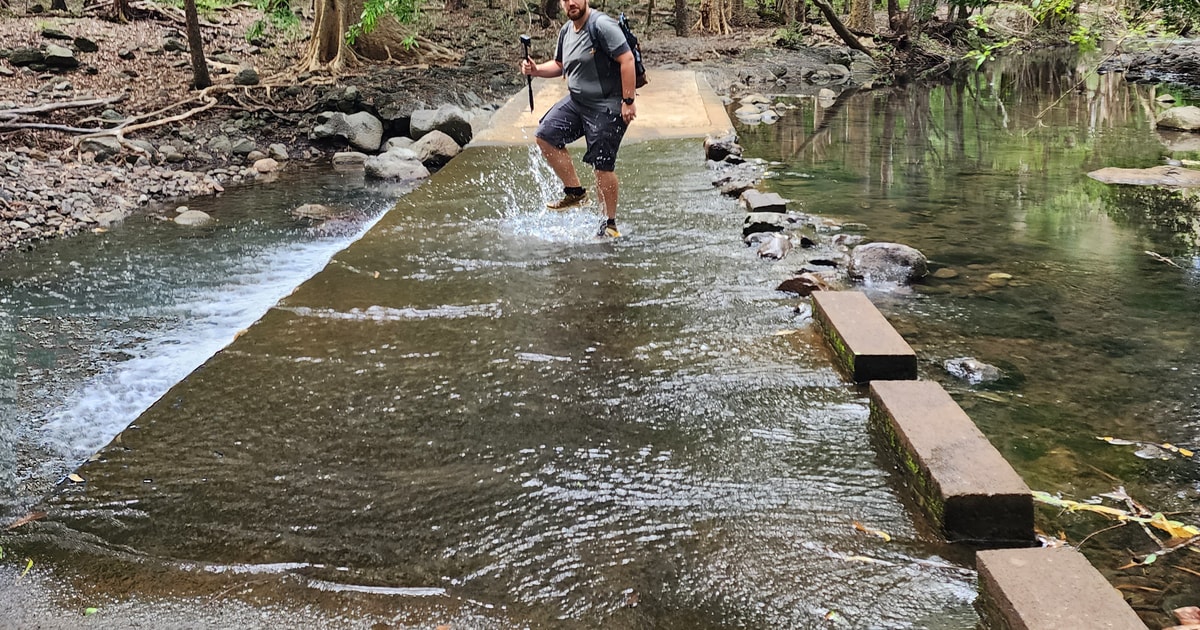 Rivière Noire Randonnée guidée dans la vallée des de la rivière Noire GetYourGuide