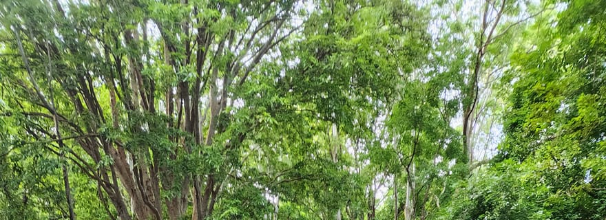 Rivière Noire : Randonnée guidée dans la vallée des gorges de la rivière Noire