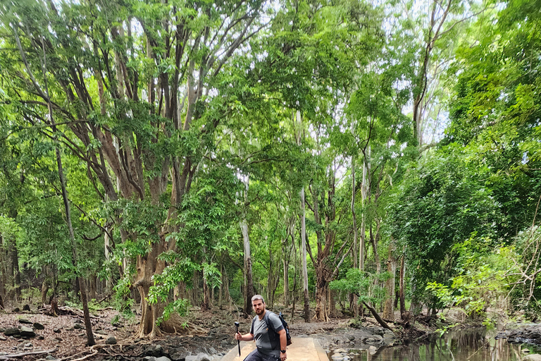 Flic en Flac: Prywatna wycieczka z przewodnikiem po Dolinie Czarnej RzekiPrywatna wycieczka z przewodnikiem po Black River Valley
