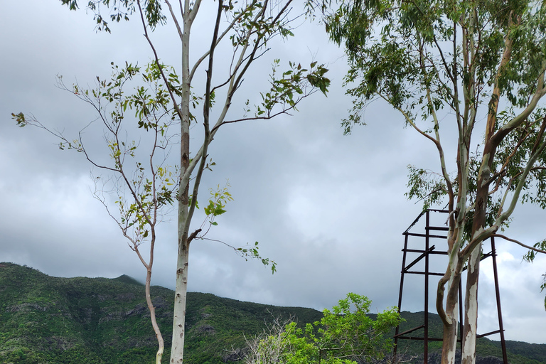 Flic en Flac: Prywatna wycieczka z przewodnikiem po Dolinie Czarnej RzekiPrywatna wycieczka z przewodnikiem po Black River Valley