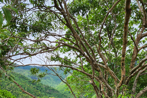 Flic en Flac: Prywatna wycieczka z przewodnikiem po Dolinie Czarnej RzekiPrywatna wycieczka z przewodnikiem po Black River Valley