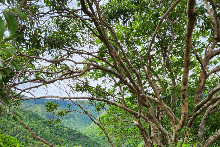 Flic en Flac: Prywatna wycieczka z przewodnikiem po Dolinie Czarnej RzekiPrywatna wycieczka z przewodnikiem po Black River Valley