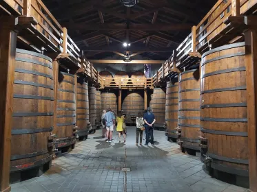Ab Taormina: Private Tour durch Taormina und Besuch des Ätna-Weinkellers