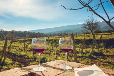 Privérondleiding door Taormina en bezoek aan de wijnmakerij in de Etna vanuit Taorm