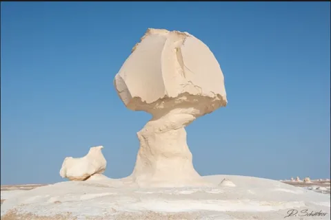 Vanuit Caïro: Bahariya Oase en Zwarte en Witte Woestijn Tour