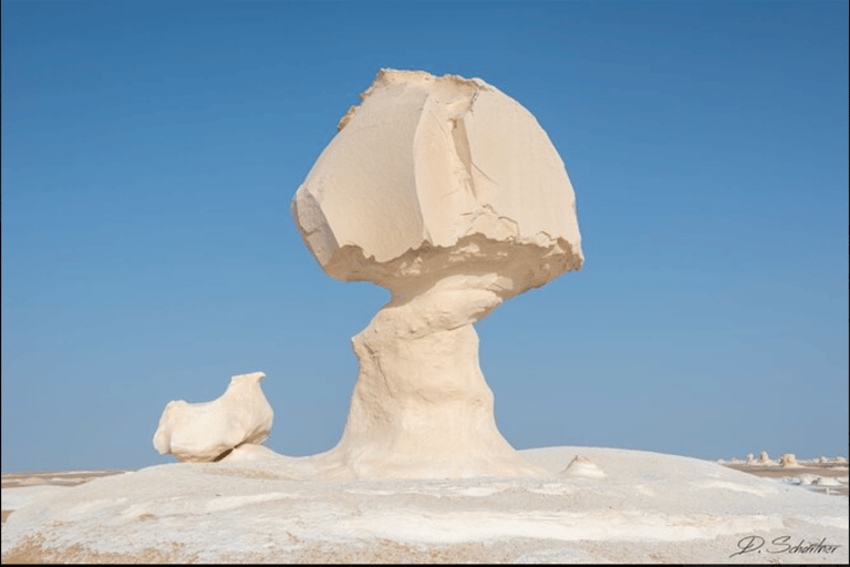 Au départ du Caire : Circuit de l'oasis de Bahariya et du désert noir et blancExcursion d'une journée à l'oasis de Bahariya et au désert noir et blanc