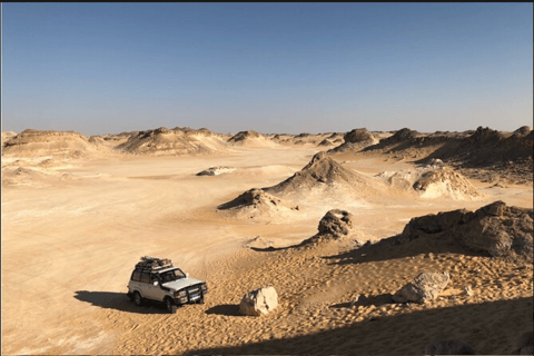 Vanuit Caïro: Bahariya Oase en Zwarte en Witte Woestijn Tour