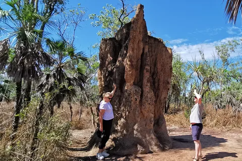 Depuis Darwin : Excursion d'une journée dans le parc national de Litchfield avec transfert