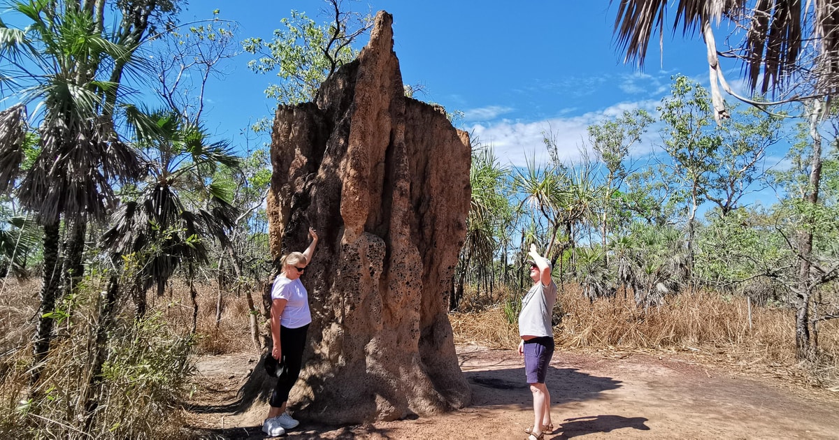 Darwin Litchfield National Park und Berry Springs Tagestour GetYourGuide