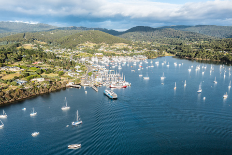 Hobart : Aventure sur l'île de Bruny avec déjeuner et visite du phare