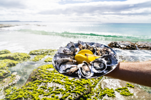 Hobart: Bruny Island Abenteuer mit Mittagessen und Leuchtturm-Tour