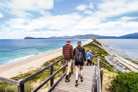 Hobart : Aventure sur l'île de Bruny avec déjeuner et visite du phare