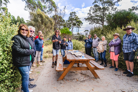 Hobart Aventura en la isla Bruny con almuerzo y visita al faro