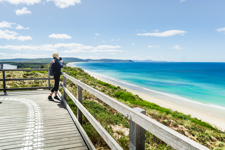 Hobart : Aventure sur l'île de Bruny avec déjeuner et visite du phare