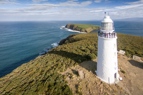 Hobart: Bruny Island Abenteuer mit Mittagessen und Leuchtturm-Tour