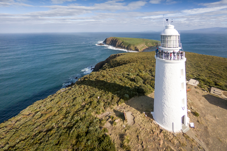 Hobart : Aventure sur l'île de Bruny avec déjeuner et visite du phare