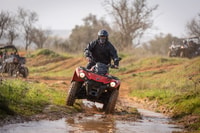 De Almancil, Tour Quad en el campo de Algarve - Housity