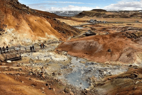 Reykjanesbær : Excursión Privada de un Día