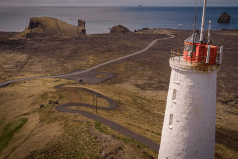 Península de Reykjanes : Tour guiado particular de um dia