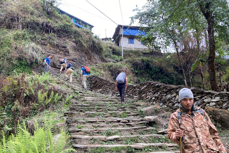 Annapurna: 2 Days Ghandruk Gurung Village Explore Trekking