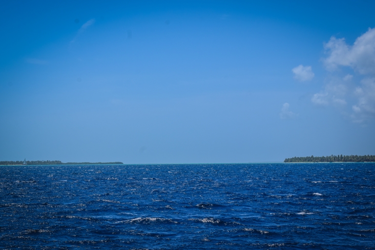 Saona-eiland hele dag all-inclusive vanuit Punta Cana