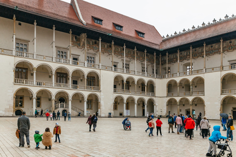 Krakow: Wawel Royal Hill Guided Tour Tour in Polish - Shared