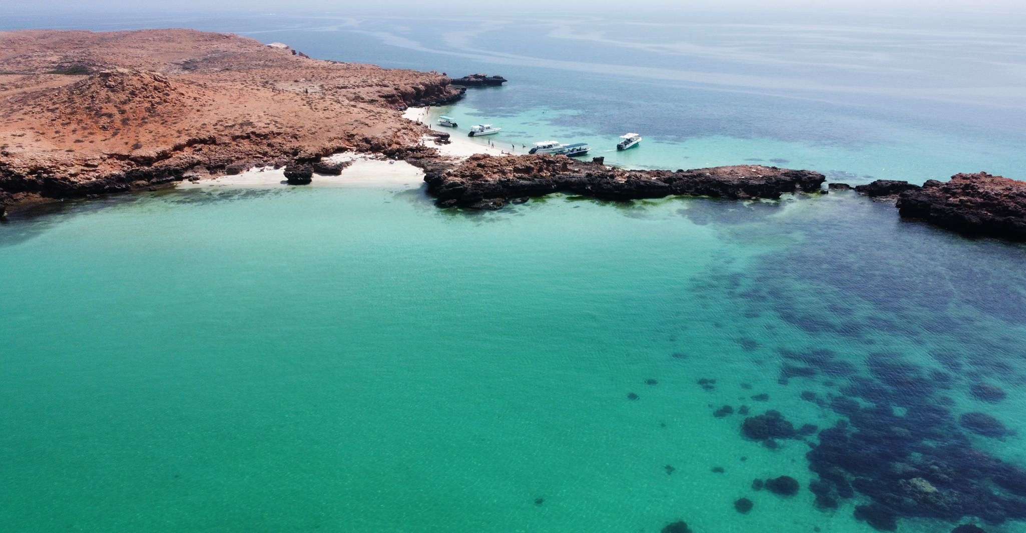 Muscat, Daymaniat Islands Snorkeling Tour avec des rafraîchissements - Hizvo