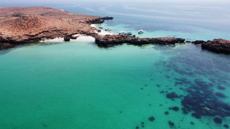 Muscat: Schnorcheltour zu den Daymaniat Inseln mit Erfrischungen
