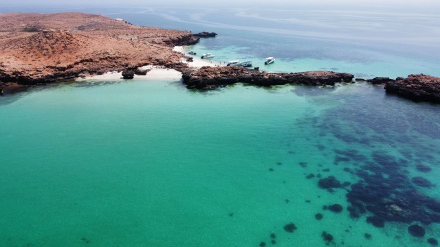 Muscat: snorkeltour op de Daymaniat-eilanden met versnaperingen